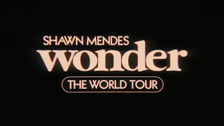 Shawn Mendes - It'll Be Okay (Wonder The World Tour, Vancouver)