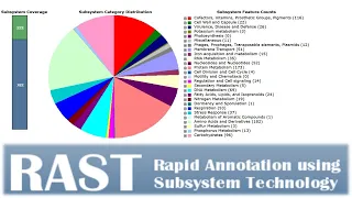 RAST: Bacterial genome sequence annotations.