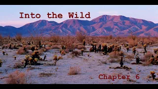 Into the Wild Chapter 6 Summary