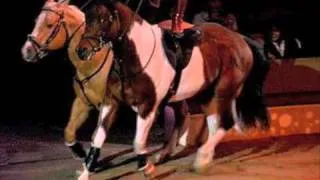 Kumisbayev cossack (jigitovka) - KZ Equestrian
