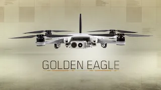 Introducing Golden Eagle - Teal