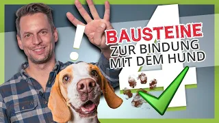 BINDUNG zum Hund aufbauen ▶︎ Die 4 BAUSTEINE einer starken Bindung