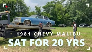 Picked up 1981 Malibu!!!