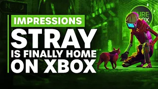 Stray is Finally Home on Xbox - Hands On