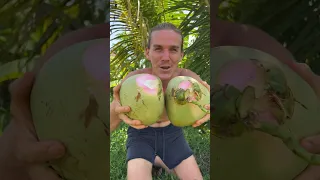 Have you ever seen a pink coconut?