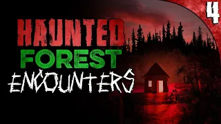 4 REAL Haunted Forest HORROR Stories