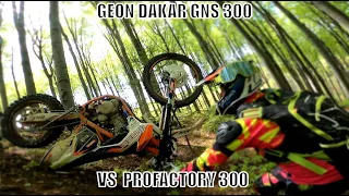 КРАШТЕСТ   PROFACTORY 300 VS  GEON GNS 300