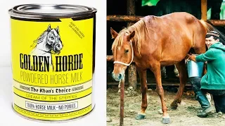 Top 10 Strangest Canned Food You Never Knew Existed