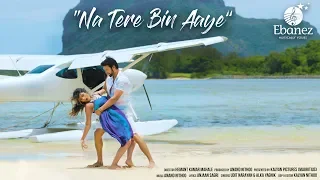 Na Tere Bin Aaye | Udit Narayan & Alka Yagnik | Ebanez Music (Mauritius)