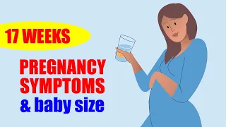 17 Weeks Pregnant Symptoms and Baby Moving – Baby Size in Womb