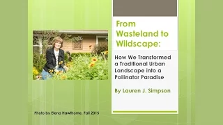 How We Transformed a Traditional Urban Landscape into a Pollinator Paradise, Right Here in Houston