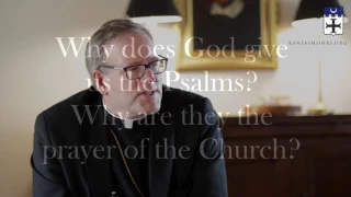 An Interview with Bishop Robert Barron