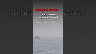 Нападение акулы в Египте. Акула напала на россиянина Хургаде https://youtu.be/QC1FChw2ttI   #акулы