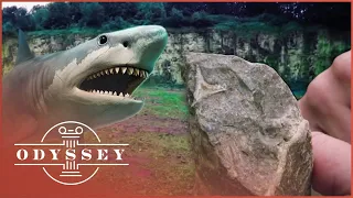 Why Are There Prehistoric Shark Teeth In This British Quarry? | Ancient Tracks | Odyssey