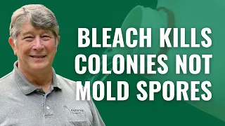 Bleach Kills Colonies NOT Mold Spores