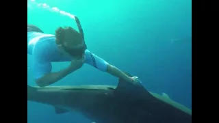 Zac Efron Eating sardines + riding tiger sharks + @andybovine = Lifetime