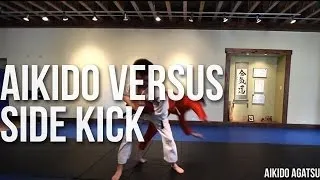 AIKIDO VERSUS SIDE KICK