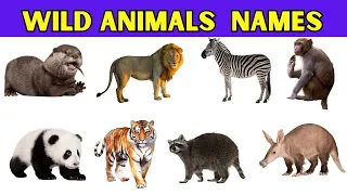 Wild Animals Name | 50 Wild Animals Names In English With Pictures | Animals Names For Kids|