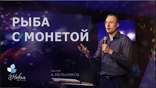 Рыба с монетой | А. Мельников