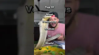 Top 10 Most Venomous Snakes In World 2024 | #shorts
