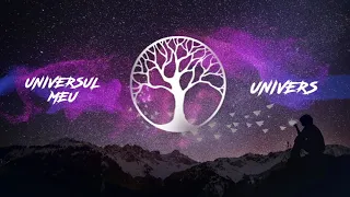 BOSTAN - Universul Meu [Official Audio]