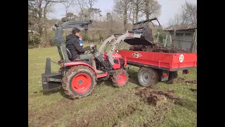 Micro tracteur Kubota B 1181 (B 1820) + chargeur Mailleux et remorque Devès GVL20