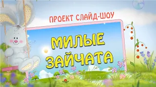 Проект слайд-шоу "МИЛЫЕ ЗАЙЧАТА"