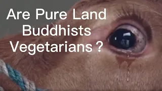 Q: Are Pure Land Buddhists Vegetarians?