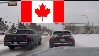 Жорстока ПРАВДА про Канаду…