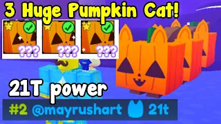 I Got 3 Huge Pumpkin Cats! 650 Rainbow Ghoul Horse! - Pet Simulator X Roblox