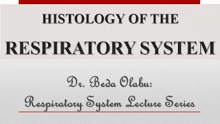 MICROSCOPIC/HISTOLOGICAL ORGANIZATION OF THE RESPIRATORY SYSTEM