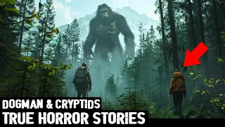 15 TRUE EXTREMELY INSANE SCARY DOGMAN & CRYPTID HORROR STORIES (DOGMAN, SASQUATCH, WENDIGO, RAKE)