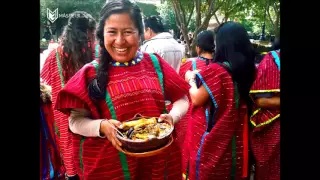 Grupos étnicos que conforman la diversidad cultural de México