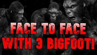 FACE TO FACE WITH 3 BIGFOOT!