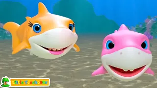 Дитяча акула Розплідник Пісня і більше Дошкільне відео для дітей