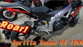 2021 Aprilia Tuono 1100rr / Full Austin Racing Exhaust