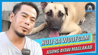 WOOFCAM: Asong ayaw maglakad (dog shuts down)