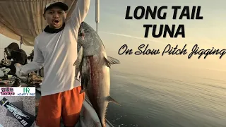 LONG TAIL TUNA ATTACK | APRIL 23, 2023| DAIWA SALTIGA 15 HL | SLOW PITCH JIGGING | FISHING OMAN