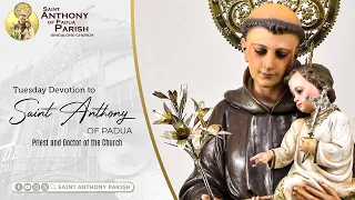 Tuesday Devotion to Saint Anthony of Padua | 7:30 AM Holy Mass | May 28, 2024