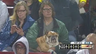 CLE@BOS: Remy and Orsillo joke about a dog at Fenway