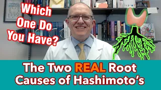 The Two REAL Root Causes of Hashimoto's--Do you know which one you have? (Important for treatment)