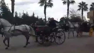 11° Passeggiata a Cavallo & Calesse Pro Loco Giarre