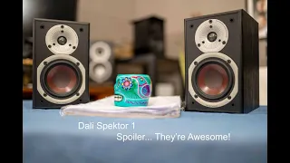 Dali Spektor 1 Bookshelf Review - Spoiler... They're Awesome