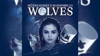 Selena Gomez x Marshmello - Wolves (Official Instrumental)