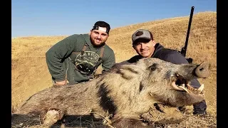 Chad Mendes' Finz and Featherz Cali Pig Hunt| SMC Guide Service