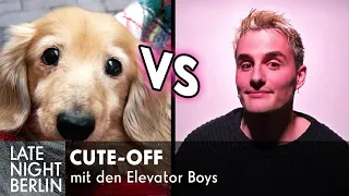 Wer ist süßer: Elevator Boy oder Cute Animal? | Cute-Off | Late Night Berlin