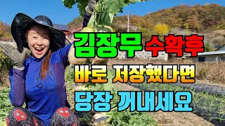 김장무 상온에서 오랫동안 보관해서 먹는방법