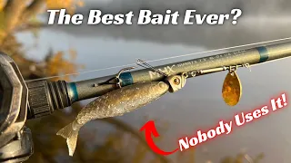 The Most Productive Fishing Lure Ever Created! Prove Me Wrong!