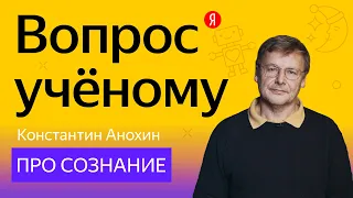 Вопрос учёному: нейробиолог Константин Анохин — про сознание и интеллект