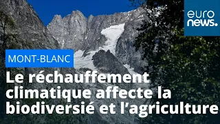 Mont-Blanc : comment le réchauffement climatique affecte la biodiversité et l’agriculture